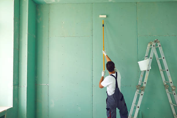 Best Residential Mold Inspection & Testing  in Irvington, KY