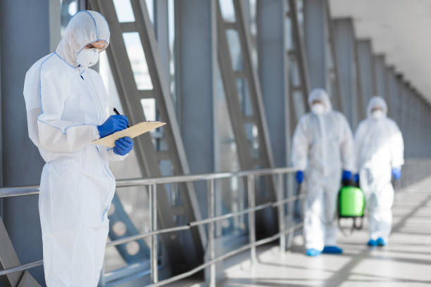 Best Post-Construction Mold Inspection  in Irvington, KY
