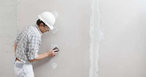 Best Biohazard Mold Removal  in Irvington, KY