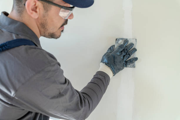 Best Water Damage & Mold Remediation  in Irvington, KY