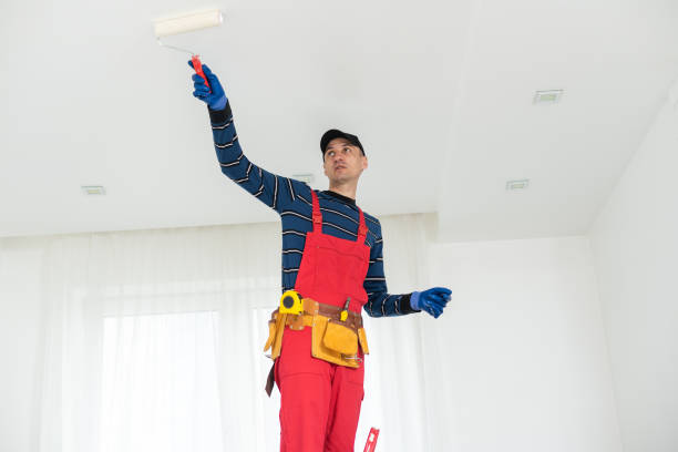Best HVAC Mold Inspection and Cleaning  in Irvington, KY