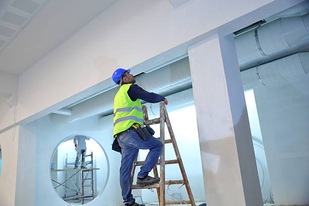 Best Commercial Mold Inspection  in Irvington, KY