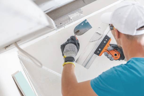 Best Air Quality Testing for Mold Spores  in Irvington, KY